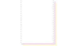 EXACOMPTA Computerpapier endlos, 24 0 mm x 12 (30,48 cm) (8700730)