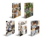 Sortiment Ringbuch A4 Karton 4D Tiere