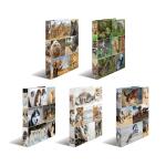 Sortiment Ringbuch A4 Karton 4D Tiere
