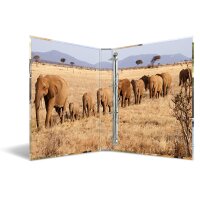 Herma Ringbuch Karton 4D-Ring A4 35 mm Rückenbreite Afrika Tiere