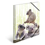 Herma Sammelmappe Eckspanner PP A3 Koalafamilie
