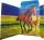 RNK Zeichenmappe Free Horses A3 Gummizug 310x440mm