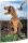 RNK Zeichenmappe T-REX A3 Gummizug 310x440mm
