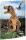 RNK Zeichenmappe T-REX A3 Gummizug 310x440mm
