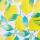 Goldbuch Notizbuch Citrus
