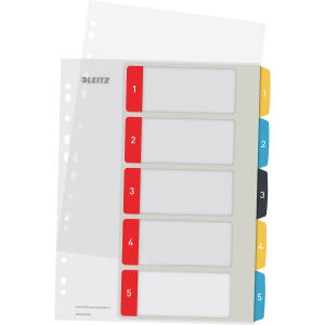 LEITZ Plastikregister A4