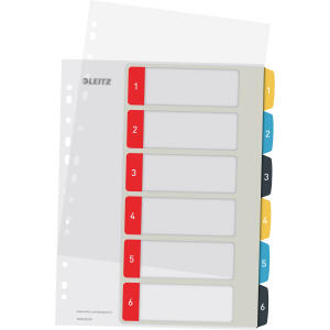 LEITZ Plastikregister A4