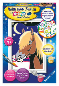 Malen nach Zahlen Bild