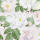 Serviette 25x25cm FSC-MIX