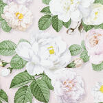 Motivserviette 33x33cm Rosen HOME F. 212124