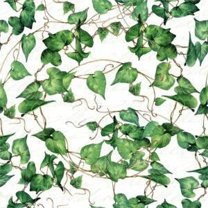 Serviette 33x33cm JET PAPIER 4103070054464