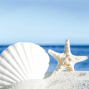 Motivserviette 33x33cm Maritim PAPER+DESIGN 195097