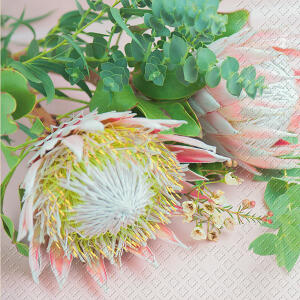 Motivserviette 33x33cm STEWO 2572 5689 25  3lag