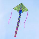 Ecoline Kinderdrachen Simple Flyer Peacock 120 cm