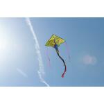 Ecoline Kinderdrachen Simple Flyer Peacock 120 cm