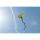 Ecoline Kinderdrachen Simple Flyer Peacock 120 cm