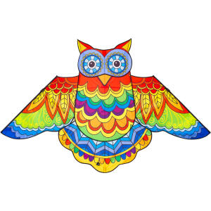 HQ Kinderdrachen Jazzy Owl Kite