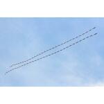 HQ Drachenschwanz Tube Tail Black & White Gradient 24 m