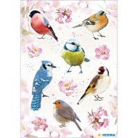 Herma Sticker DECOR Tiere Heimatvögel 3 Bl