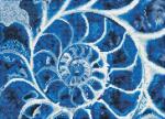 DIAMOND DOTZ 51,5x37cm  Blue Nautilus, zum Kreieren von...