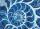 DIAMOND DOTZ 51,5x37cm  Blue Nautilus, zum Kreieren von Motiven mit kleinen Diamanten, Pracht