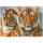 DIAMOND DOTZ Squares  Tigers 37x51cm, ab 8 Jahren, Pracht Hobby