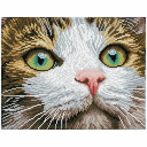 DIAMOND DOTZ  Green Eyed Beauty, 28,9x36,7cm, mit Rahmen, ab 8 Jahren, Pracht Hobby