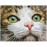 DIAMOND DOTZ  Green Eyed Beauty, 28,9x36,7cm, mit Rahmen,...