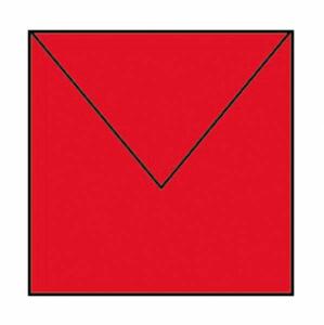 ROESSLER PAPIER  Briefumschläge Coloretti  klatschmohn 164x164mm 5er