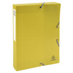 Exacompta Archivbox PP R40mm Forever Young