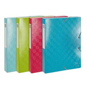 Exacompta 1928 Archivbox A4 40mm 4sort