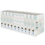 Motivordner PureGreen, Welle & Kreis, 10er sortiert, Motive sort.