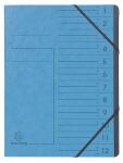 Exacompta Ordnungsm A4 12T CleanSafe blau