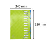 Exacompta Ordnungsm Colorsp 12F 1928 anisgrün