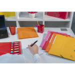 Exacompta Sichtmappe Iderama PP A4 20H rosa