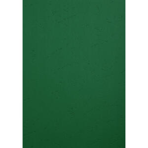 Clairefontaine Karton Forever grün A4 270G 100Bl