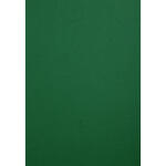 Clairefontaine Karton Forever grün A4 270G 100Bl