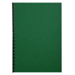 Clairefontaine Karton Forever grün A4 270G 100Bl