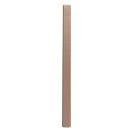Exacompta Gästeb 140S gold 21x19 Palmyre nude palm