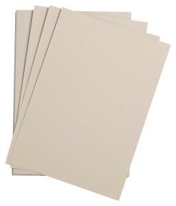 Clairefontaine Etival Pack 25Bl A3 160g graurosa