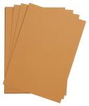 Clairefontaine Etival Pack 25Bl A3 160g rost