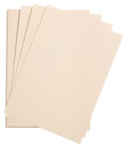 Clairefontaine Etival Pack 25Bl A3 160g hellrosa