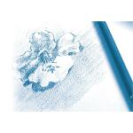 Clairefontaine Zeichenp Mittelkör 224g 55x75 125Bl