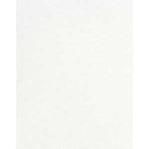 Clairefontaine Maulbeerpapier 65x95 weiß 10Bg