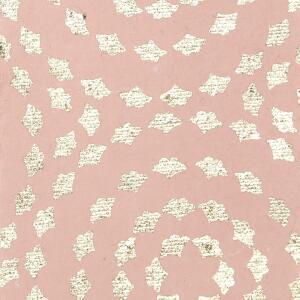 Clairefontaine Papiere Welt 10Bl 50x70 Kreise rosa