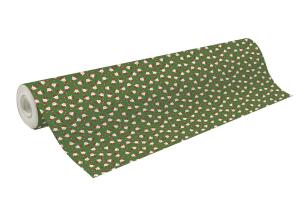 Clairefontaine Excellia 80g rl 50x0,70m Blabla