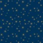 Clairefontaine Alliance 60g rl 50x0,70m Sterne gd
