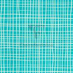 Clairefontaine Tiny Rolls 80g 5x0,35m Linien