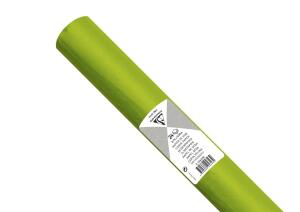 Clairefontaine Seidenpap 24Bl 50x75cm apfelgrün