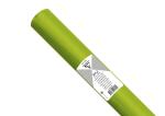 Clairefontaine Seidenpap 24Bl 50x75cm apfelgrün